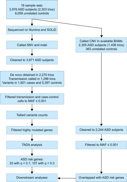 Extended Data Figure 1