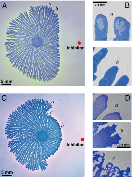 Fig. 4.