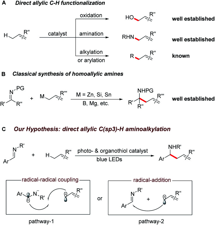 Scheme 1