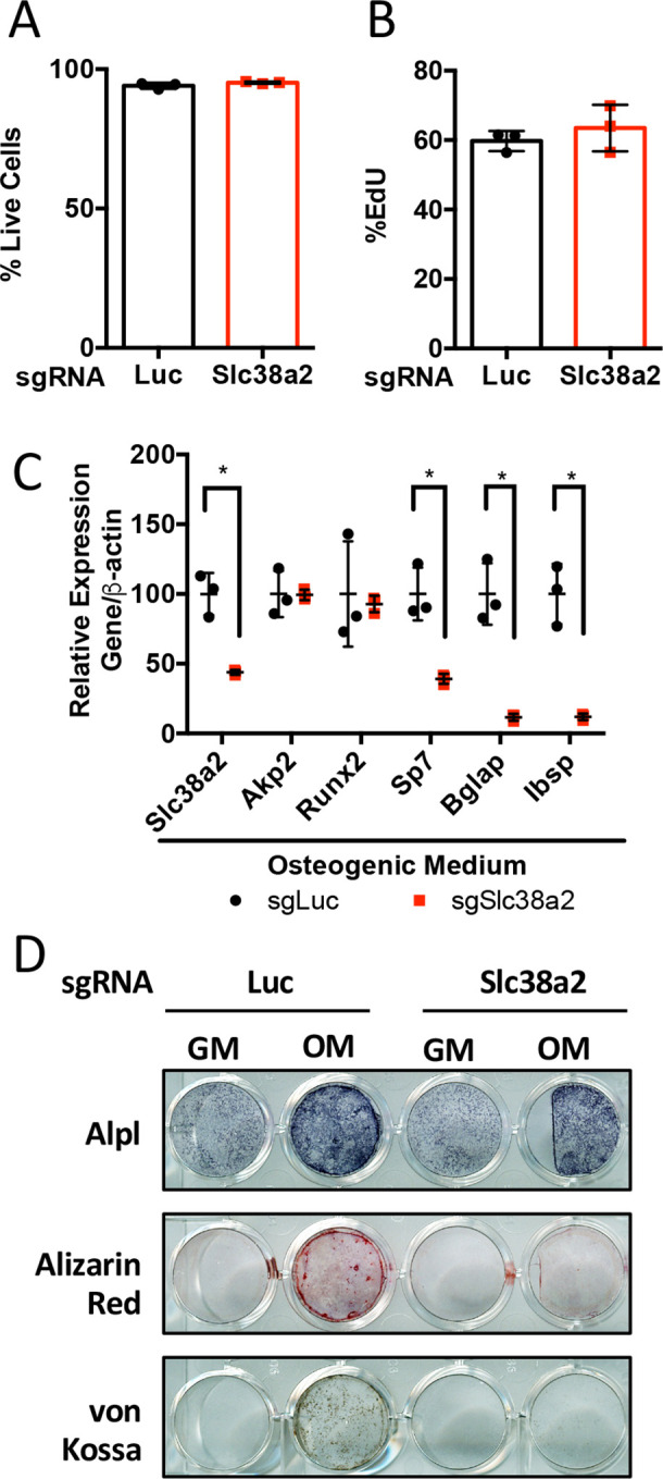 Figure 5—figure supplement 1.