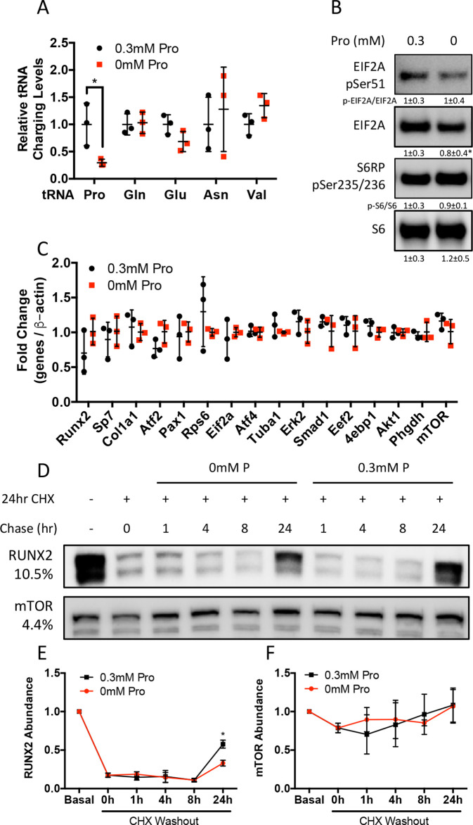 Figure 3—figure supplement 1.