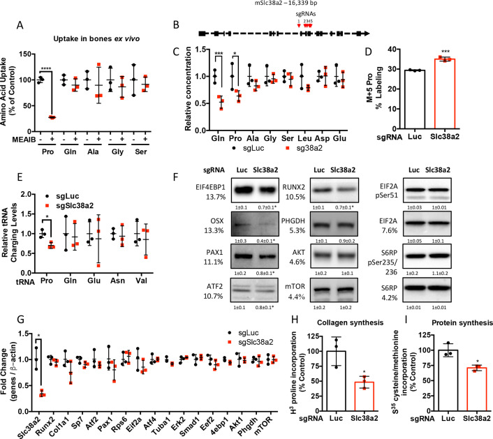 Figure 4—figure supplement 1.