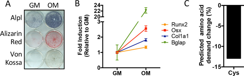 Figure 1—figure supplement 1.