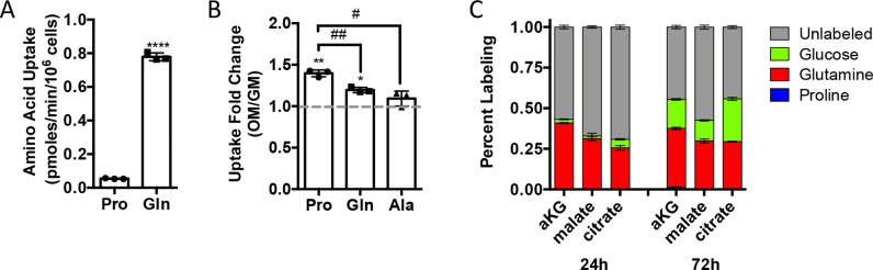 Figure 2—figure supplement 1.