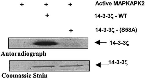 FIG. 7.