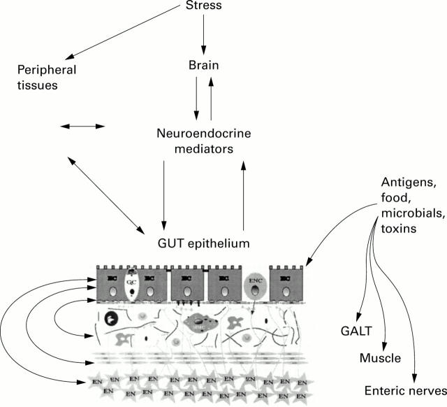 Figure 2  