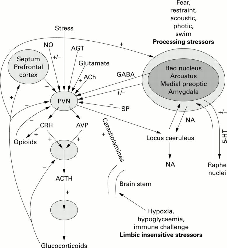 Figure 1  