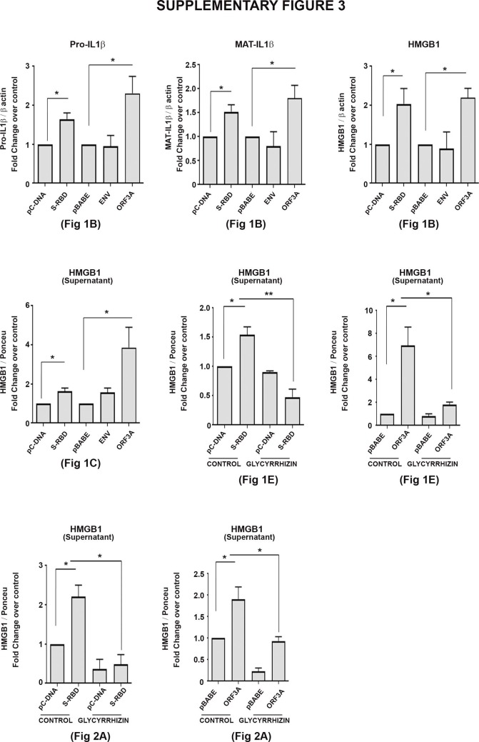 Supplementary figure 3