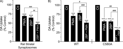 FIGURE 10.