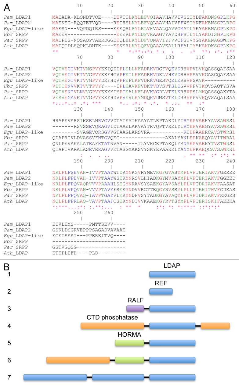 graphic file with name psb-8-e27141-g1.jpg