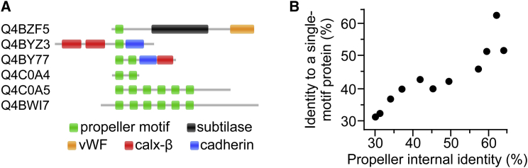 Figure 6