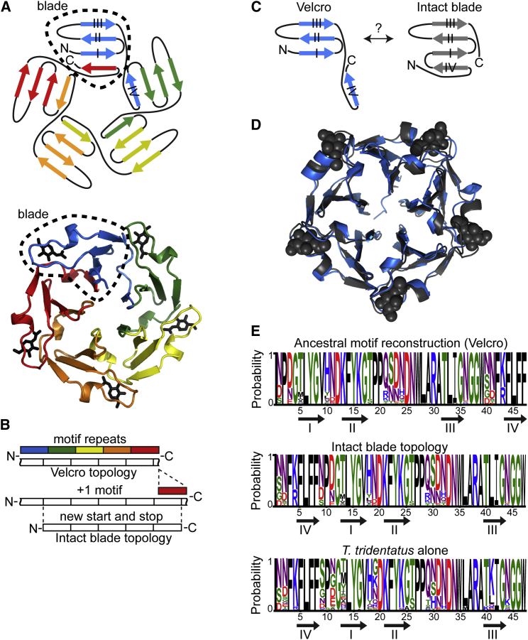 Figure 1