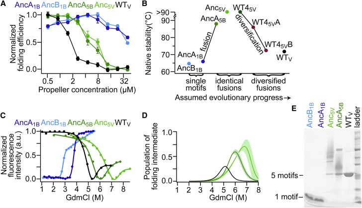 Figure 5