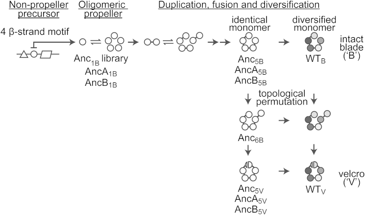 Figure 2