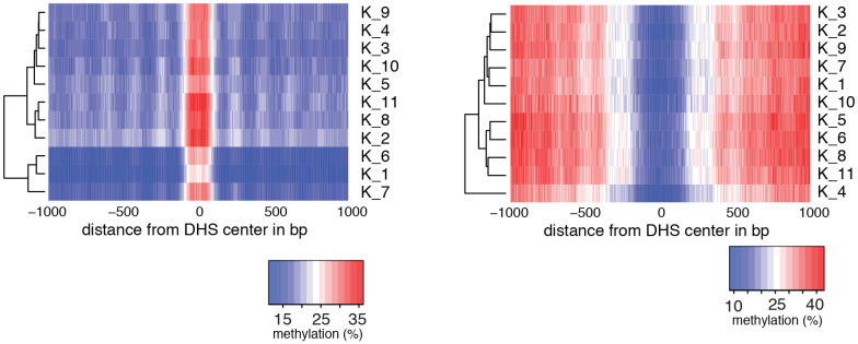 Figure 2—figure supplement 4.