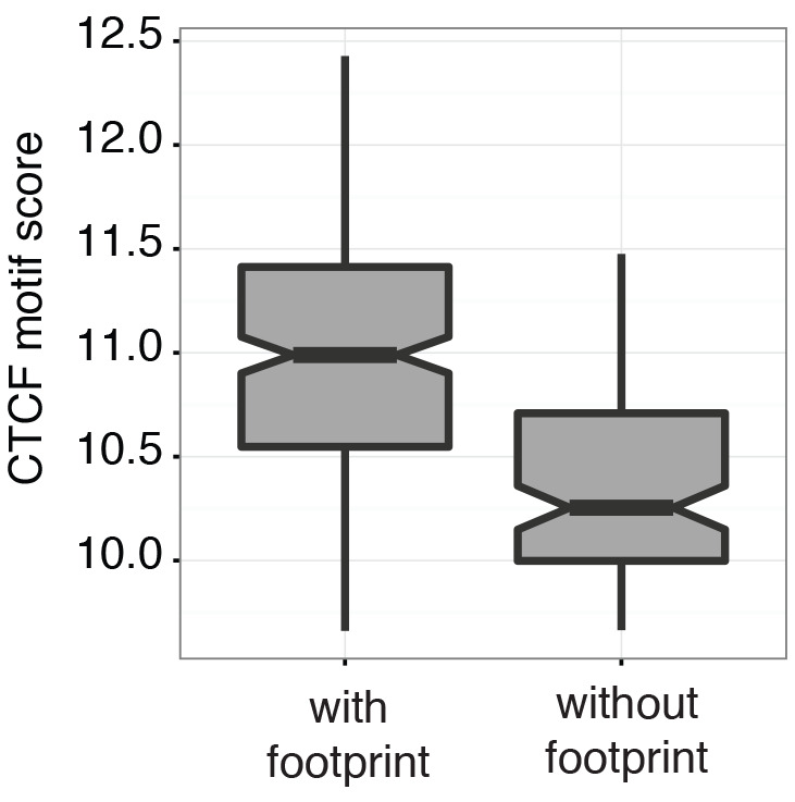 Figure 5—figure supplement 4.