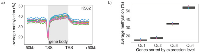 Figure 3—figure supplement 1.