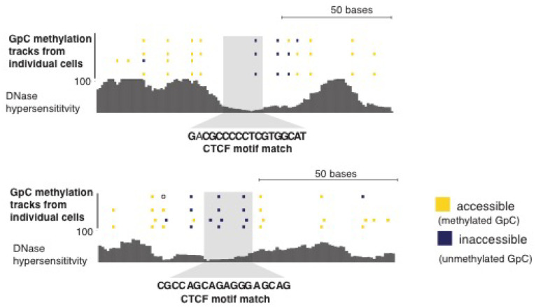 Figure 5—figure supplement 5.