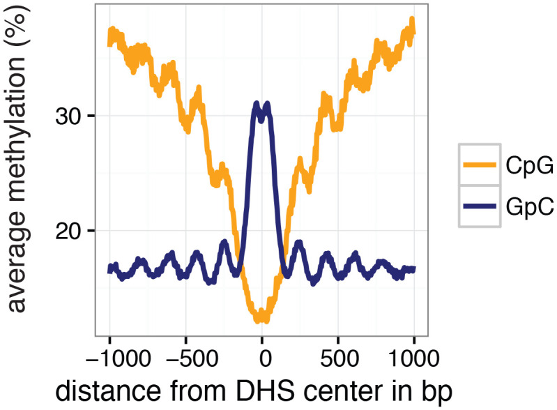 Figure 2—figure supplement 3.