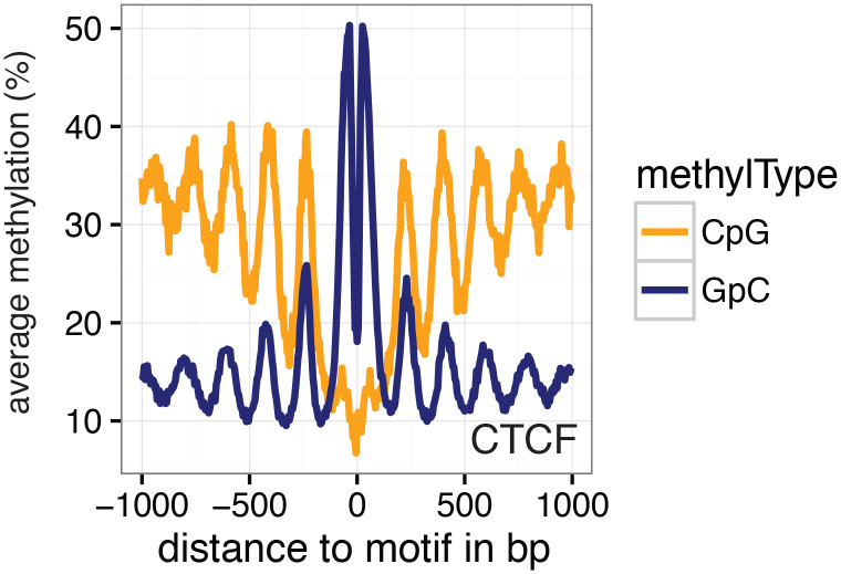 Figure 5—figure supplement 1.