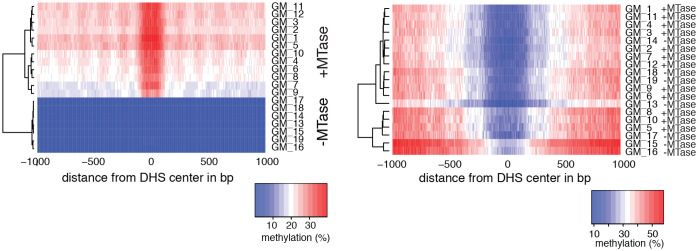 Figure 2—figure supplement 2.