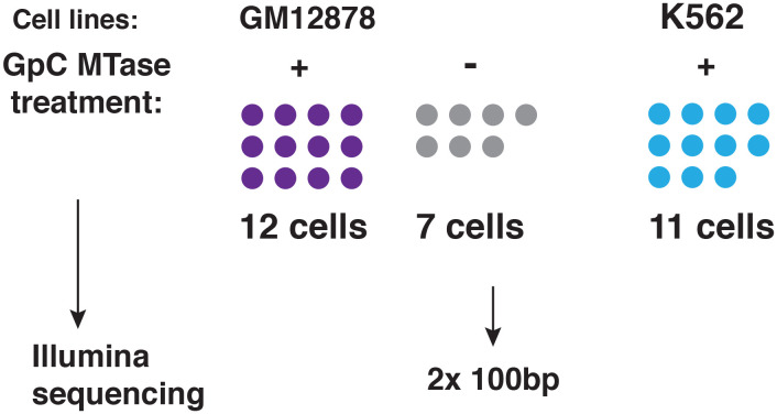 Figure 1—figure supplement 2.