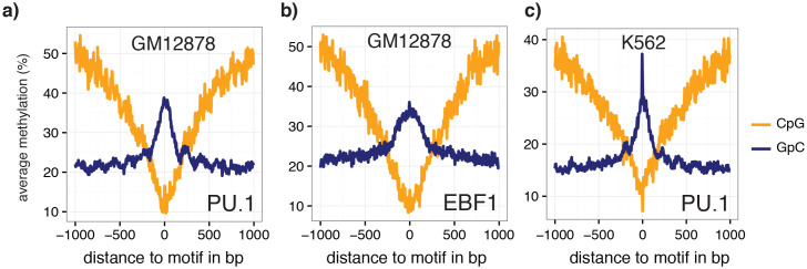 Figure 5—figure supplement 3.