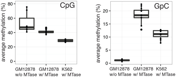 Figure 2—figure supplement 1.