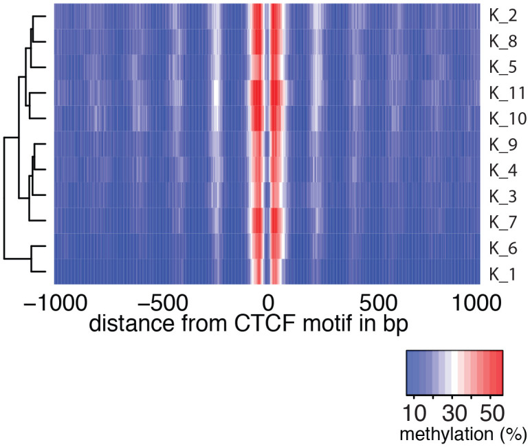 Figure 5—figure supplement 2.