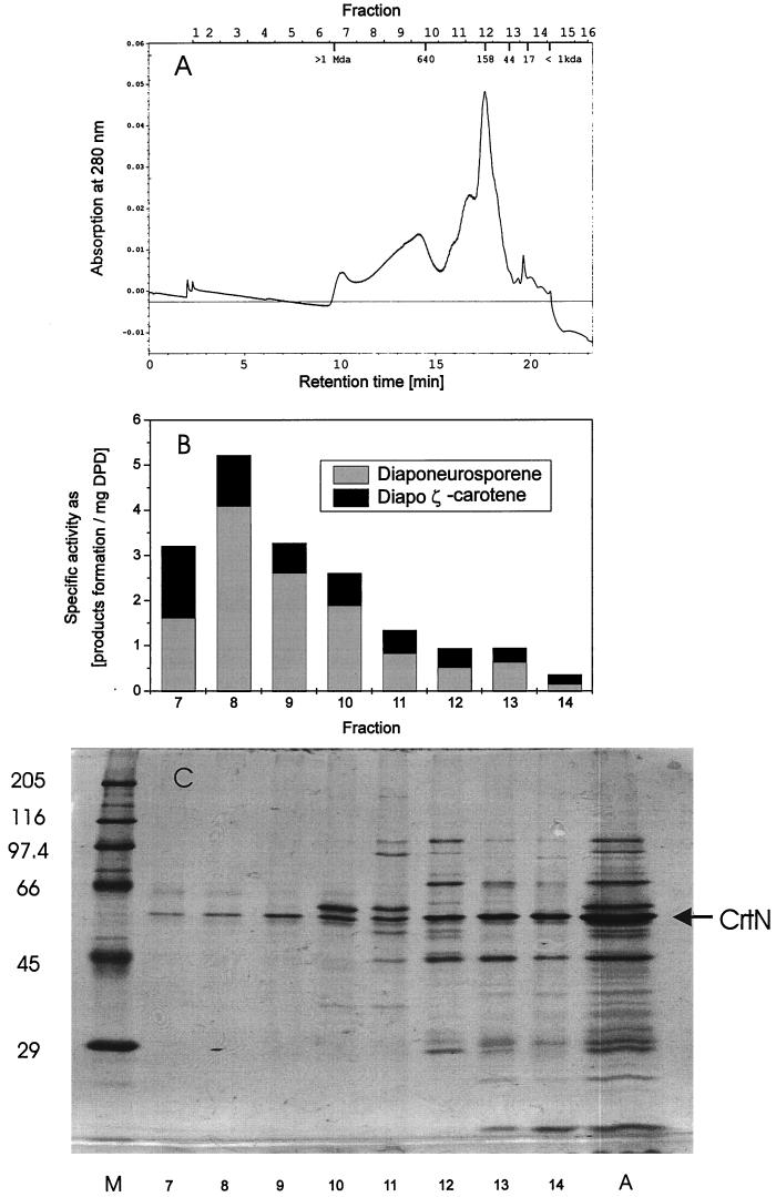 FIG. 3