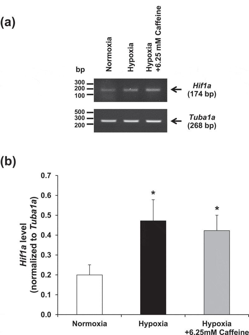 Figure 7.