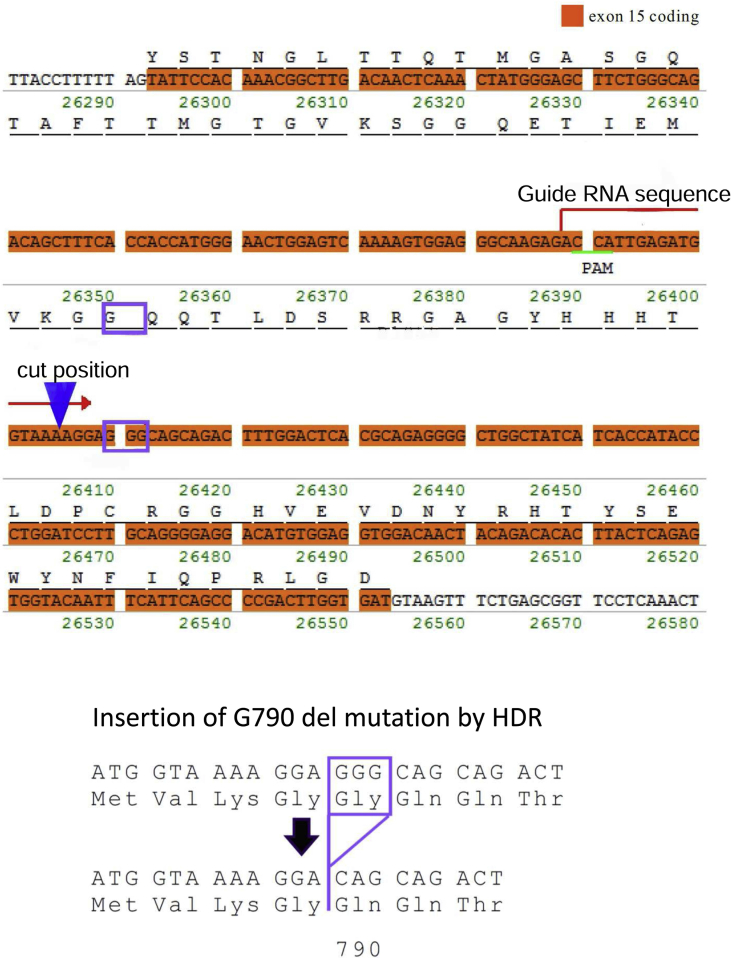 Supplementary Fig. 1