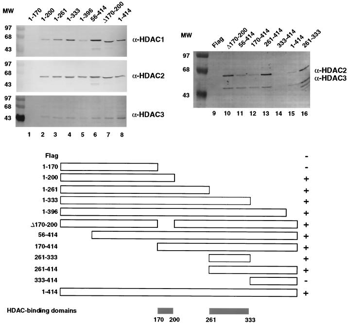 FIG. 6