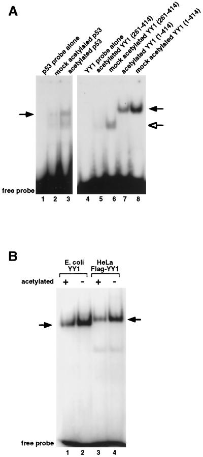 FIG. 8