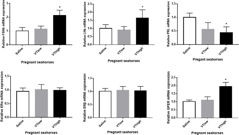 Figure 6
