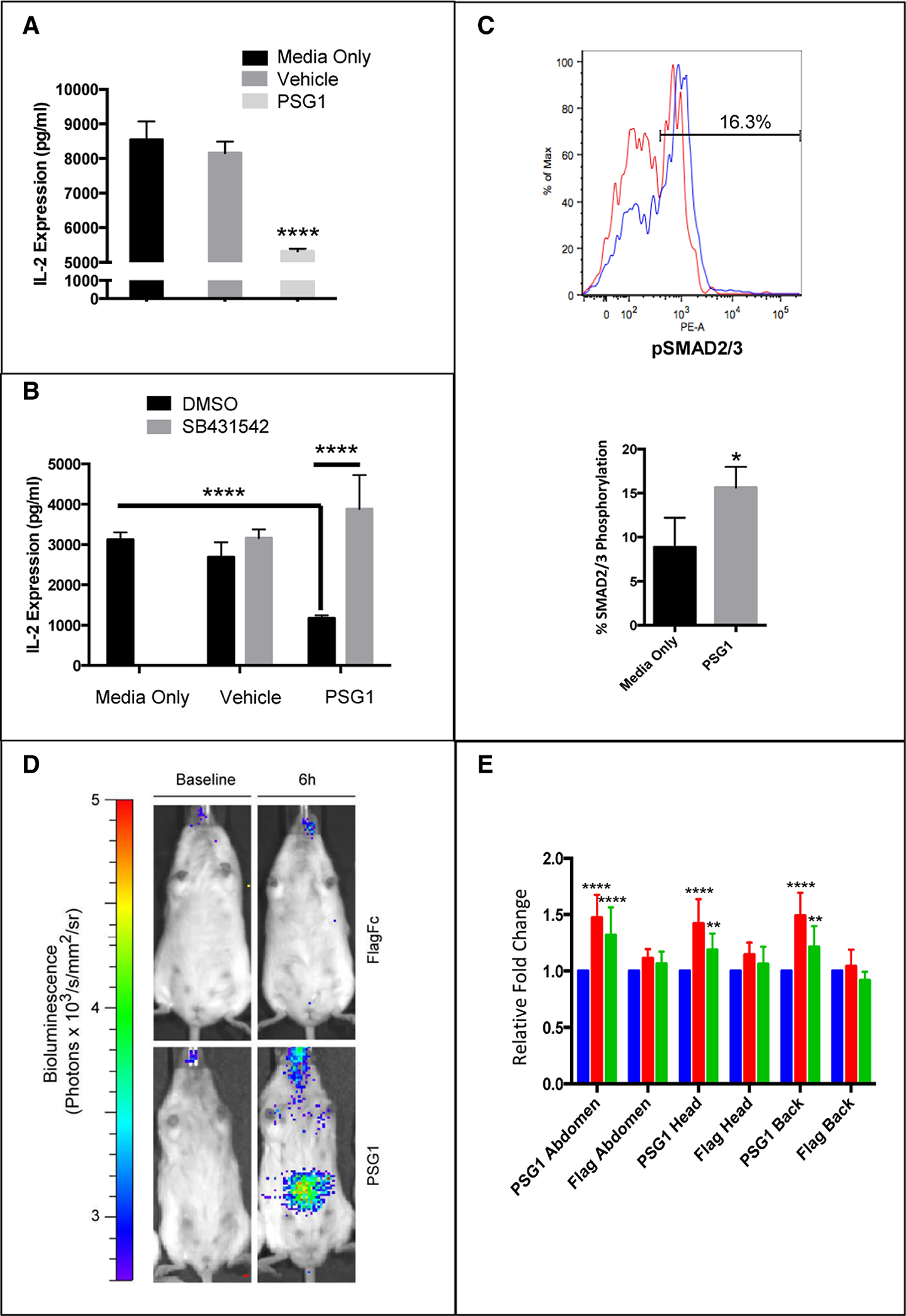 Figure 2: