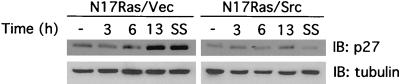 FIG. 6