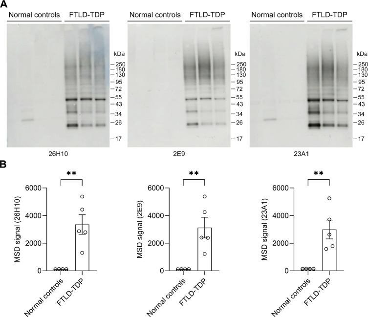 Fig 4