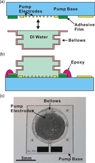 Fig. 7