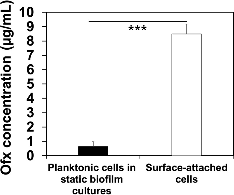 FIG 2