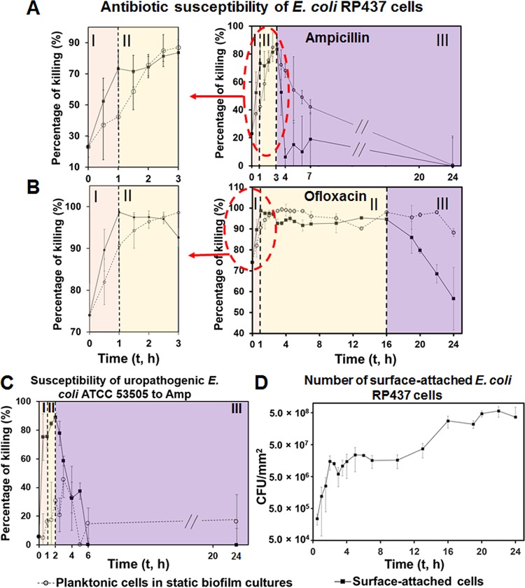 FIG 1