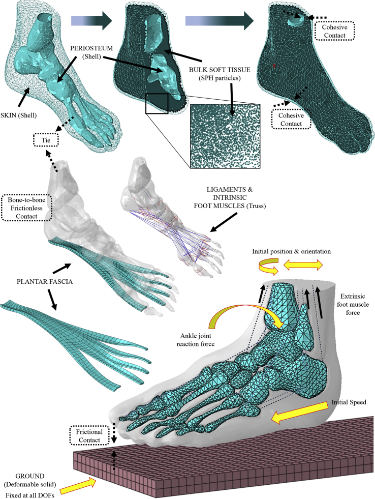 Figure 3