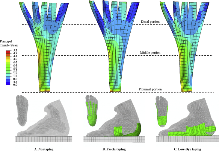 Figure 6