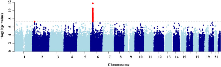 Figure 2