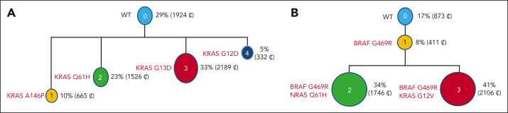 Figure 2.