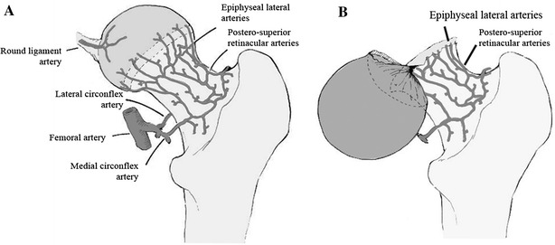 Fig. 5