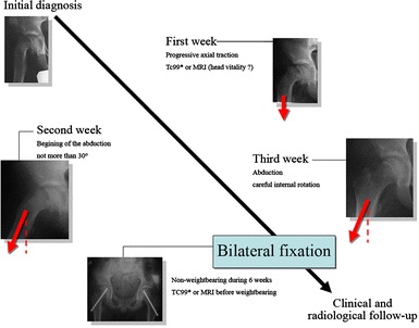 Fig. 2