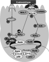 Fig. 1.