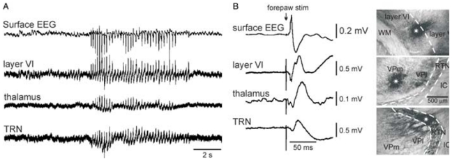 Fig. 13