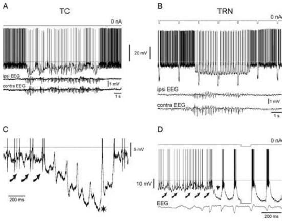 Fig. 9